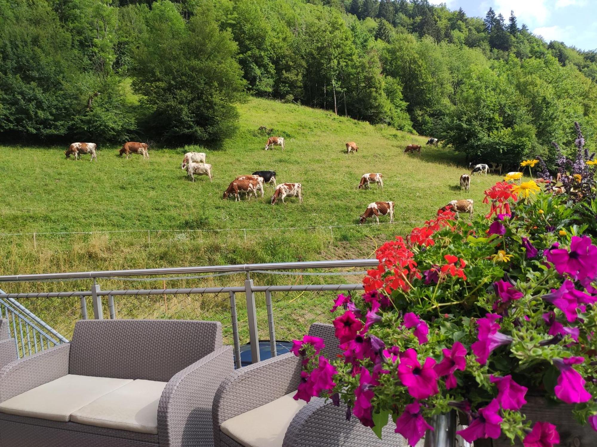 Les Chemins Du Leman Hotel Novel Luaran gambar