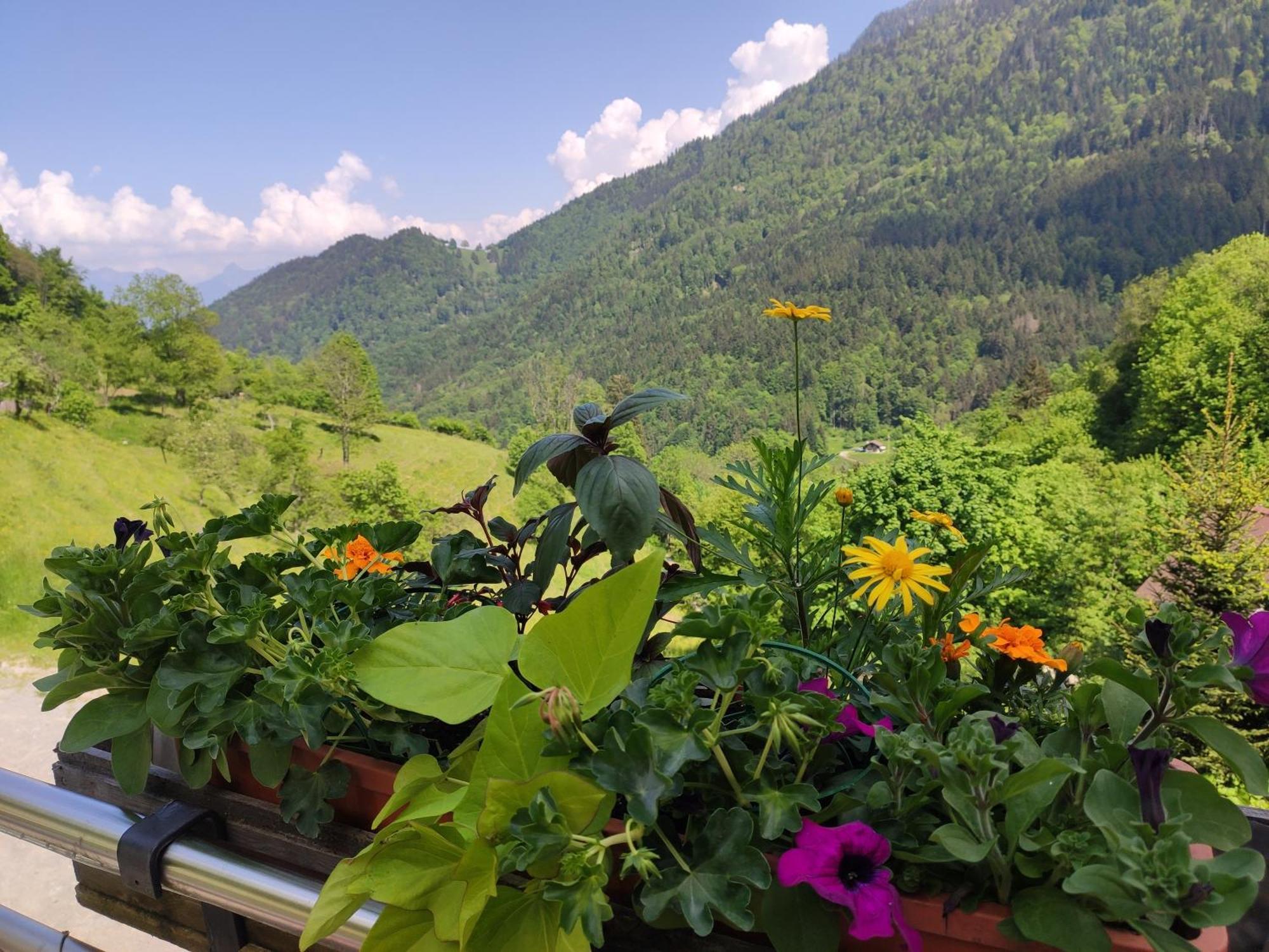 Les Chemins Du Leman Hotel Novel Luaran gambar